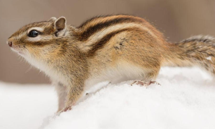 保定天成建材模具有限公司轮播图4