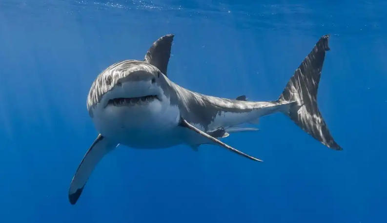 保定天成建材模具有限公司轮播图2