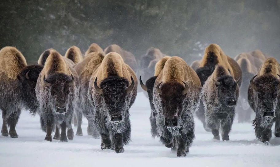 保定天成建材模具有限公司轮播图1